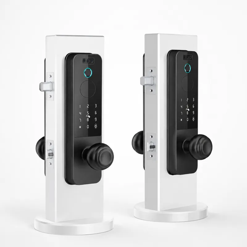 국경을 초월하는 디자인의 나무 문 잠금장치, 얼굴 인식 - Smart Door Lock Wifi 리뷰 및 가격